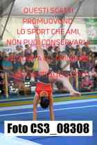CS3_08308-