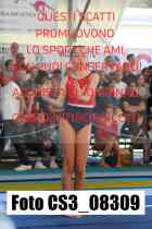 CS3_08309-