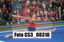 CS3_08310-