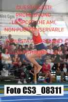 CS3_08311-