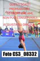 CS3_08332-