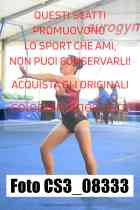 CS3_08333-