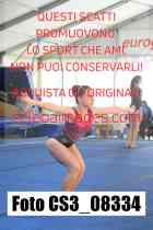 CS3_08334-