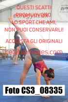 CS3_08335-