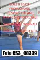 CS3_08339-