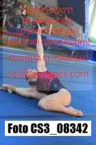 CS3_08342-