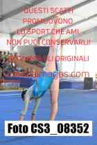 CS3_08352-