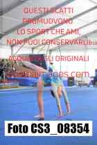 CS3_08354-