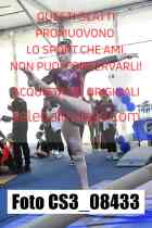 CS3_08433-