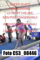 CS3_08446-