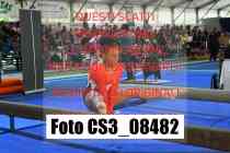 CS3_08482-