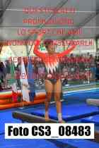 CS3_08483-