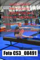 CS3_08491-