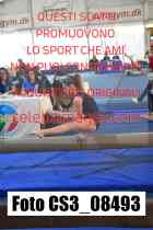 CS3_08493-