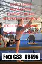 CS3_08496-
