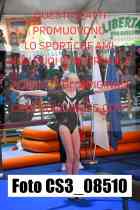CS3_08510-