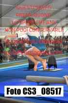 CS3_08517-