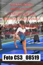 CS3_08519-