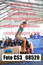 CS3_08520-