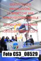 CS3_08529-