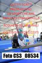 CS3_08534-