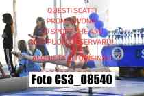 CS3_08540-