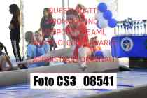 CS3_08541-