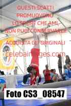 CS3_08547-
