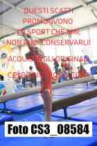 CS3_08584-