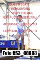 CS3_08603-