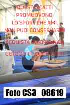 CS3_08619-