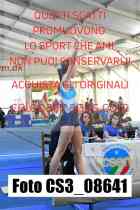 CS3_08641-