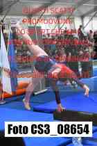 CS3_08654-