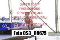 CS3_08675-