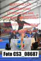 CS3_08687-