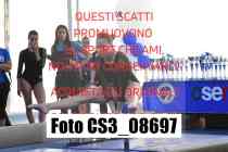 CS3_08697-