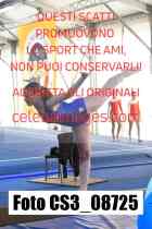 CS3_08725-