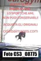 CS3_08775-