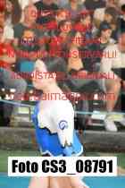 CS3_08791-