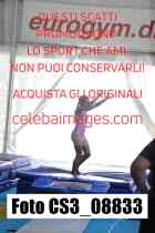 CS3_08833-