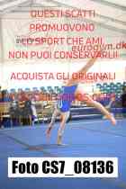 CS7_08136-
