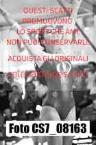 CS7_08163-