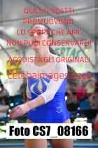 CS7_08166-