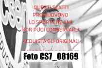 CS7_08169-
