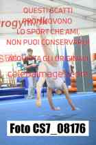 CS7_08176-