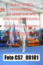 CS7_08181-