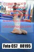 CS7_08195-