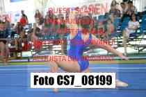 CS7_08199-