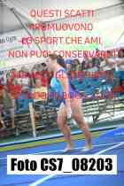 CS7_08203-