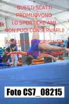 CS7_08215-